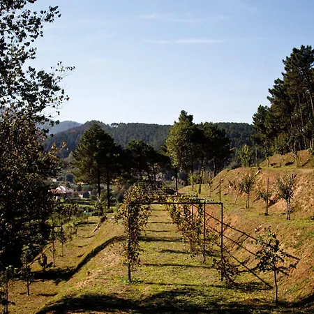 Apartment Tenuta Setteventi